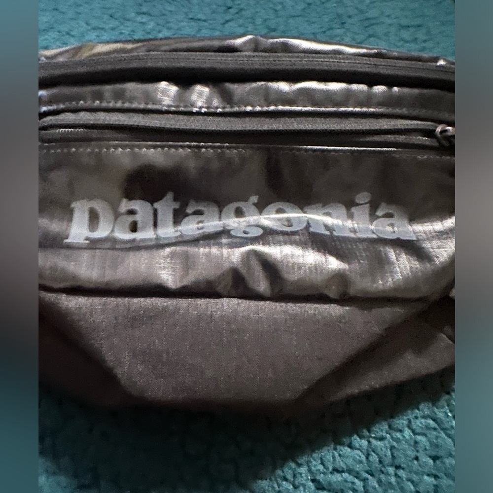 Patagonia Black Hole Waist Pack 5L